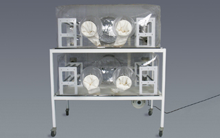 Class Biologically Clean double-tier, flexible film isolator system optimizes lab space.